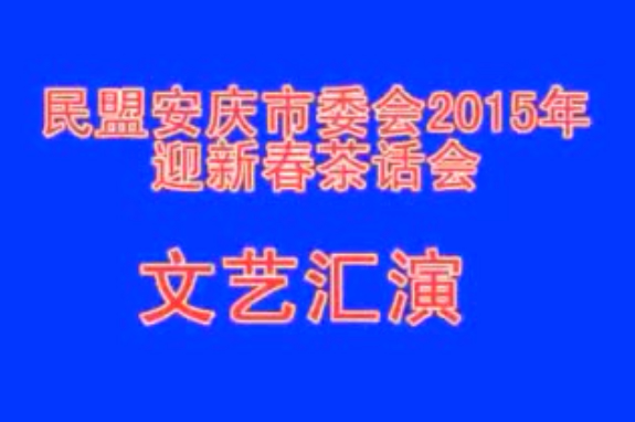 市民盟2015新年文艺汇演